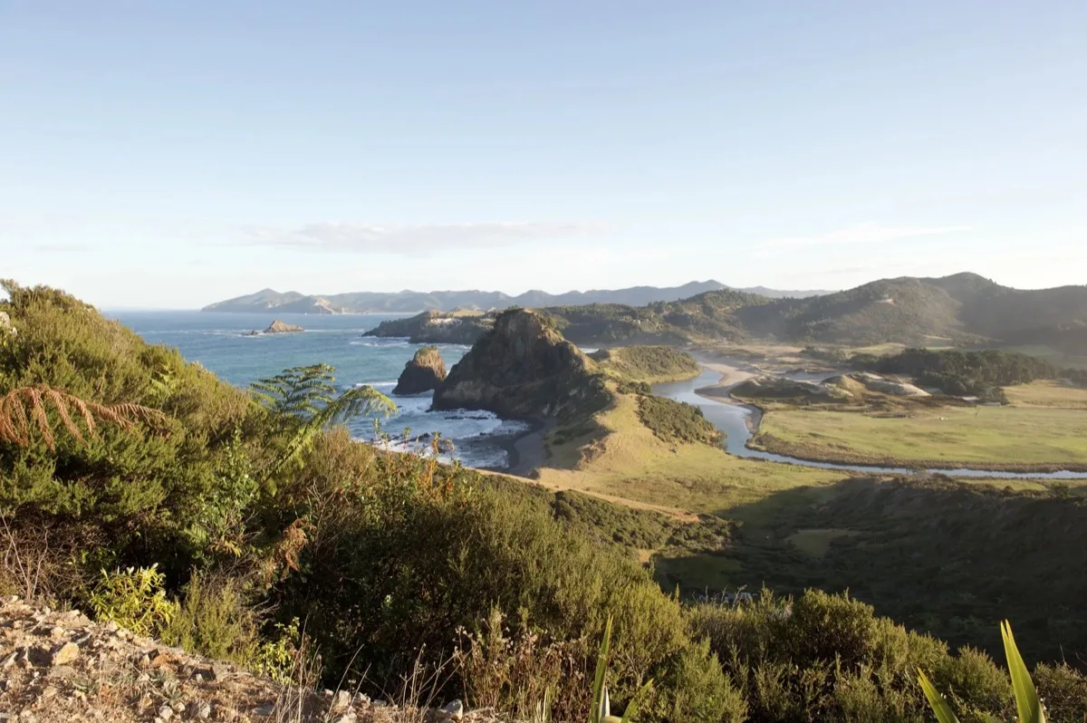 Camping on Great Barrier Island — The Complete Guide
