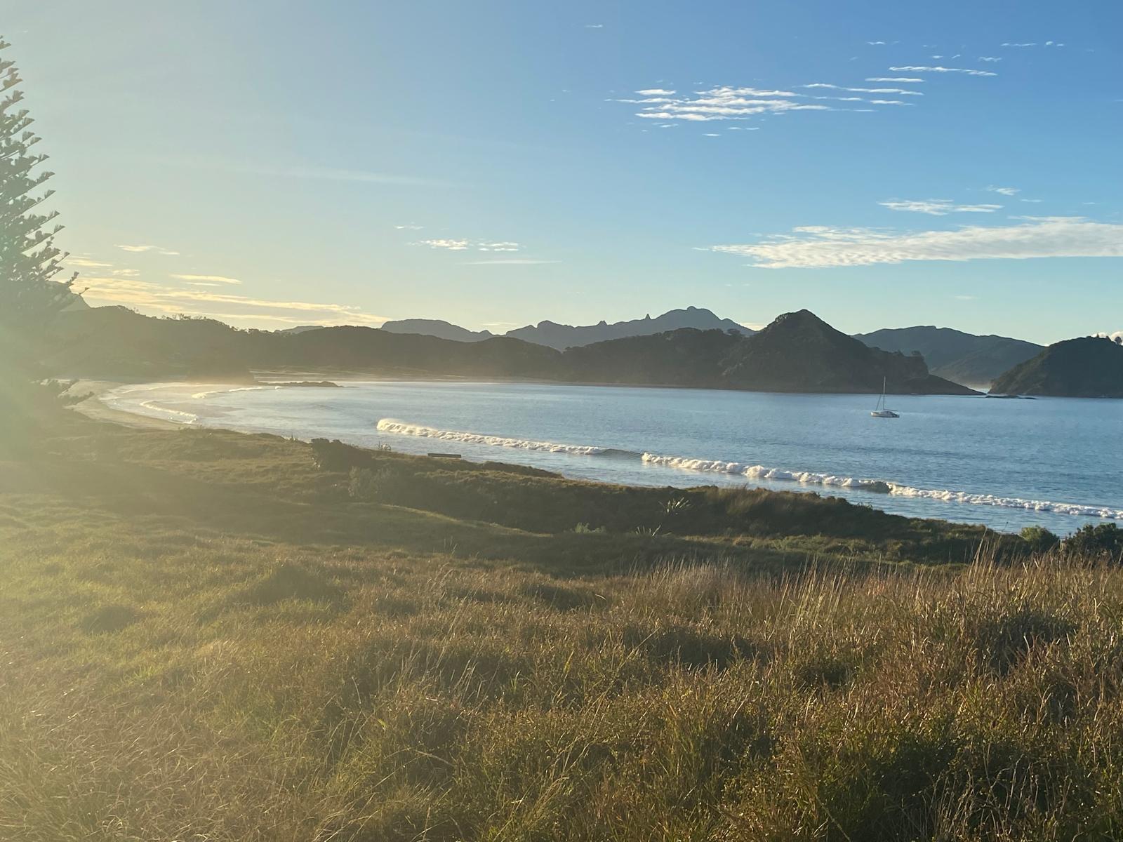 Medlands Beach, Great Barrier Island — Everything You Need to Know