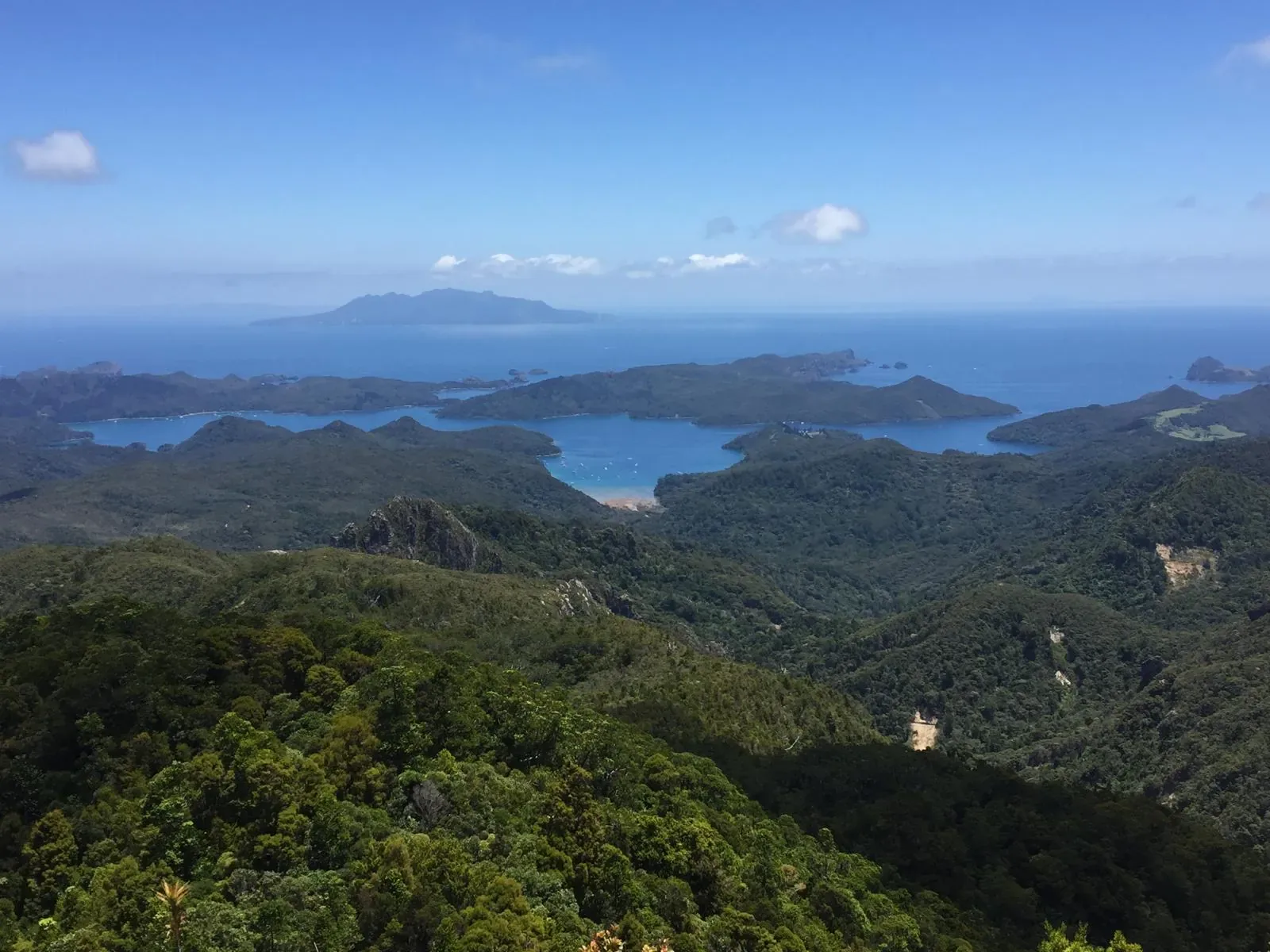 A Perfect Week on Great Barrier Island — Day by Day