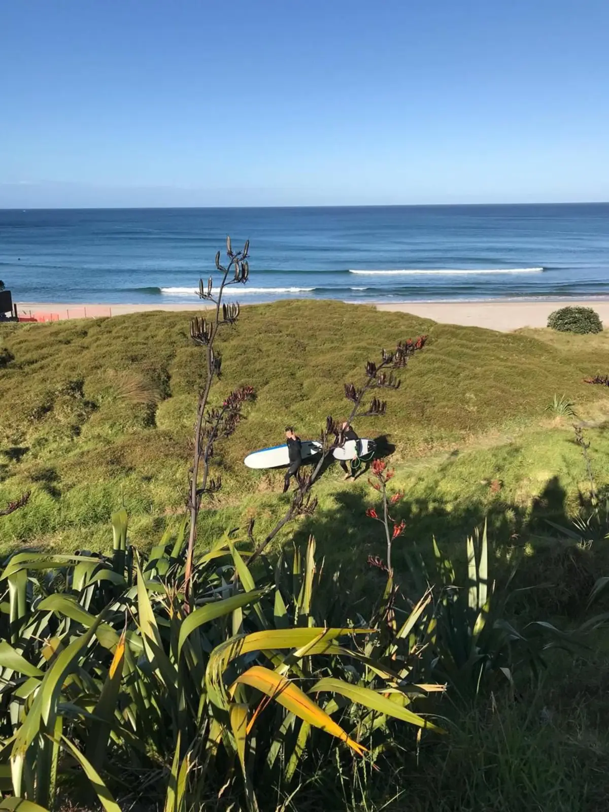 Surfing on Great Barrier Island