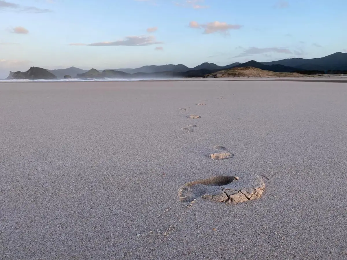 Walks on Great Barrier Island